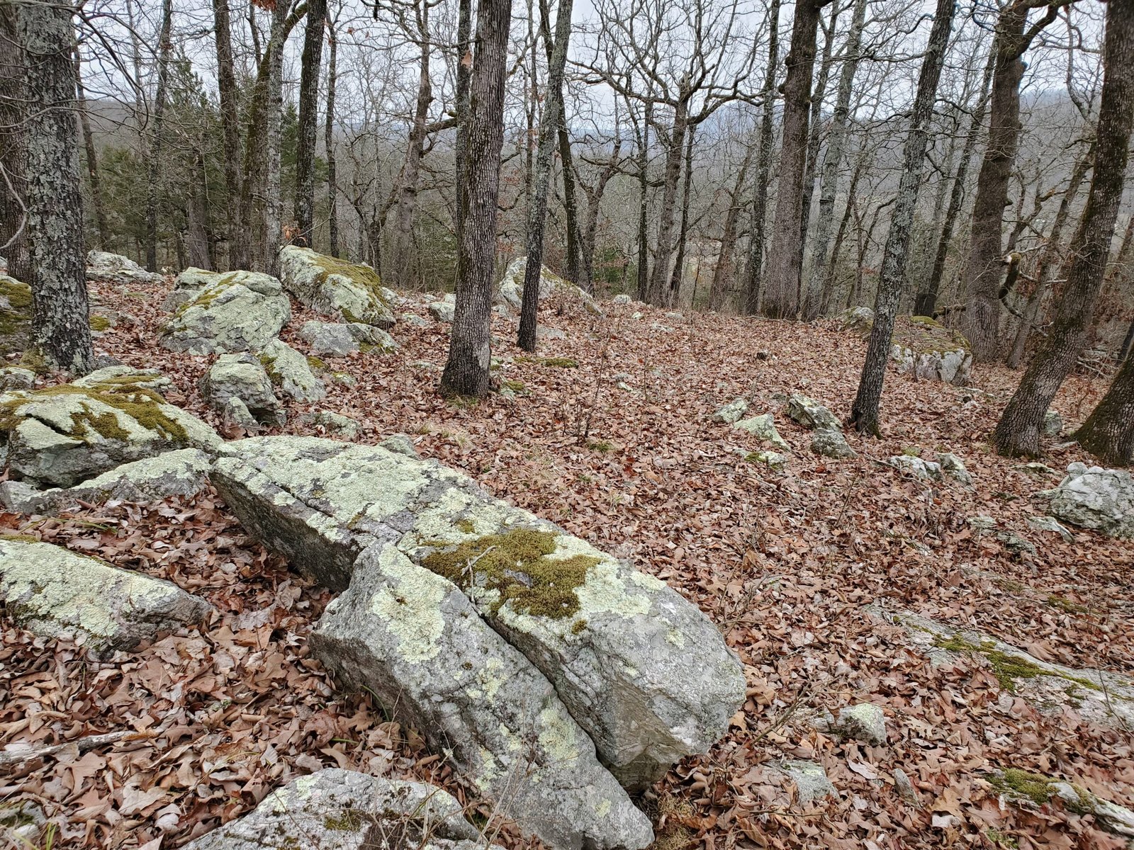oSAGE cIRCLE