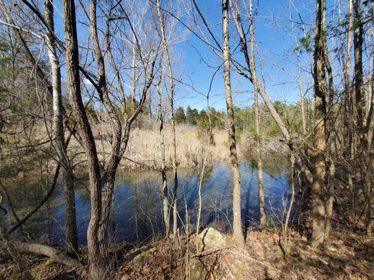 Pond on Property