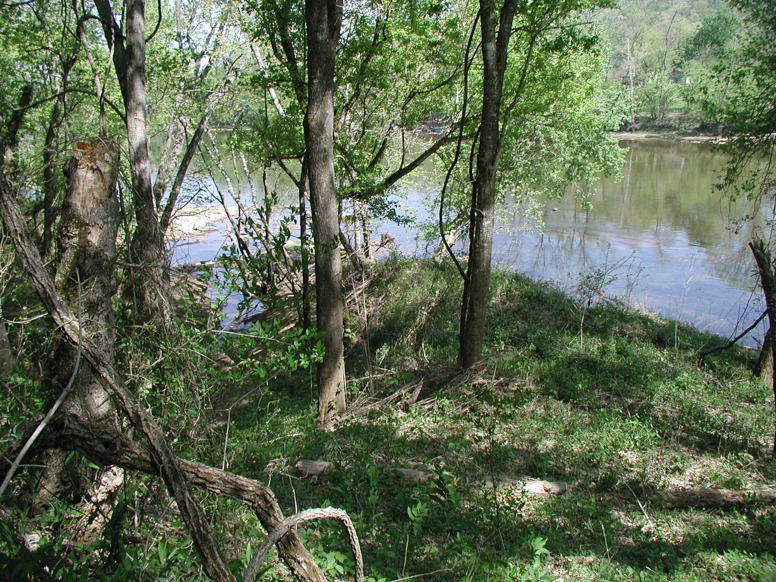 Riverbank