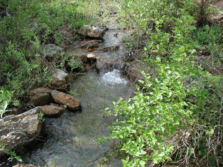 Freshwater Streams