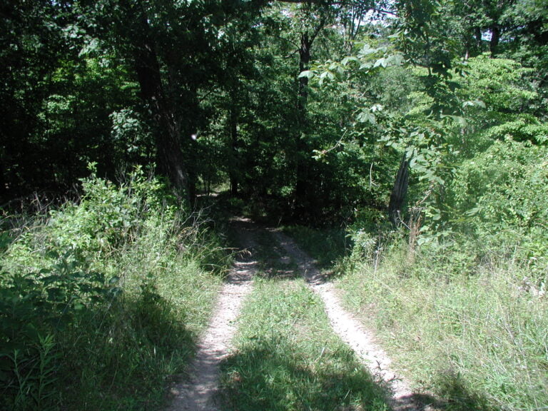 ATV Trails