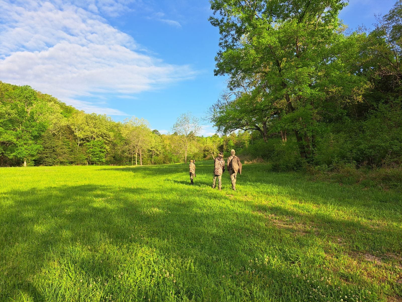 Ozark meadow hunting terrain at Shipps Landing
